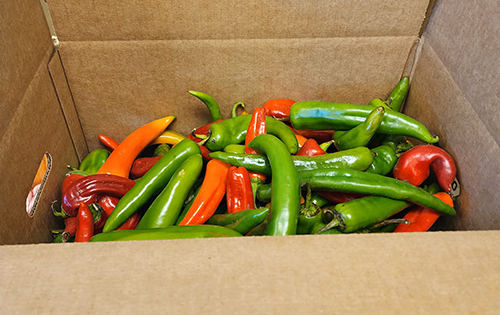 Box of fresh green and red chili peppers