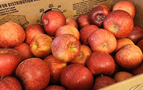 Cardboard box filled with fresh red apples