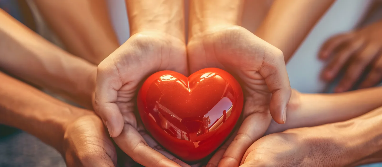 Several hands holding a red heart together
